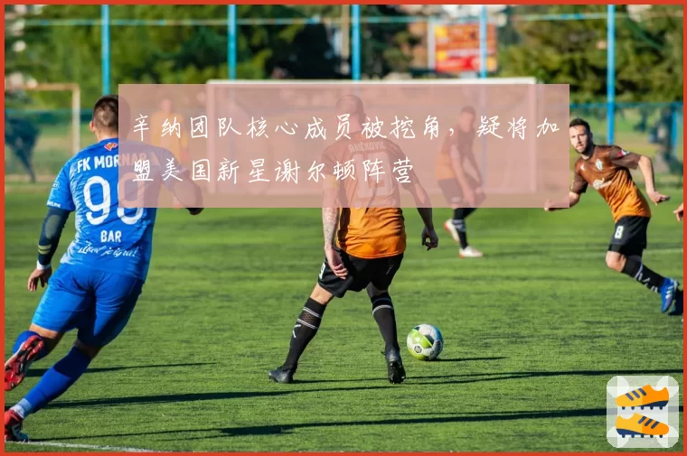 辛纳团队核心成员被挖角，疑将加盟美国新星谢尔顿阵营