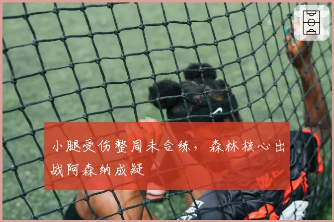 小腿受伤整周未合练,森林核心出战阿森纳成疑