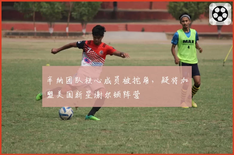 辛纳团队核心成员被挖角，疑将加盟美国新星谢尔顿阵营