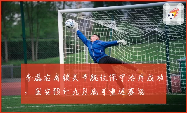 李磊右肩锁关节脱位保守治疗成功，国安预计九月底可重返赛场